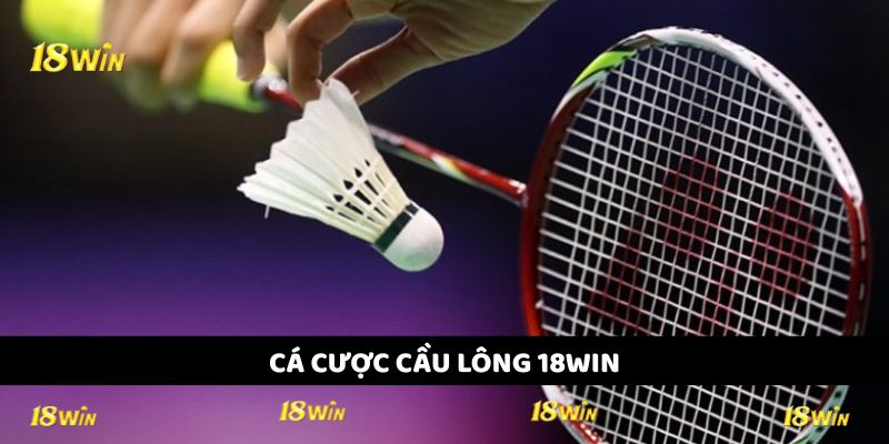 Cá Cược Cầu Lông 18WIN - Cơ Hội Kiếm Thưởng Lớn Cho Hội Viên