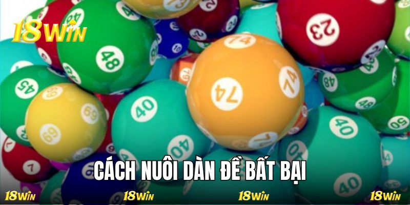 Một số cách nuôi dàn số đề hiệu quả bạn hãy áp dụng