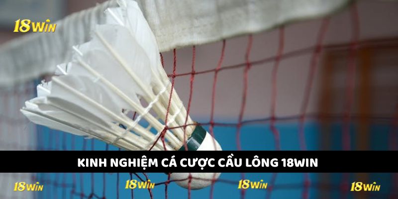 Mẹo cá cược cầu lông 18WIN thắng đậm cho người chơi