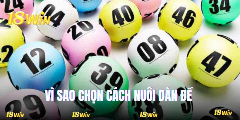 Lý do nên chọn cách nuôi dàn đề thay vì đơn lẻ là gì?